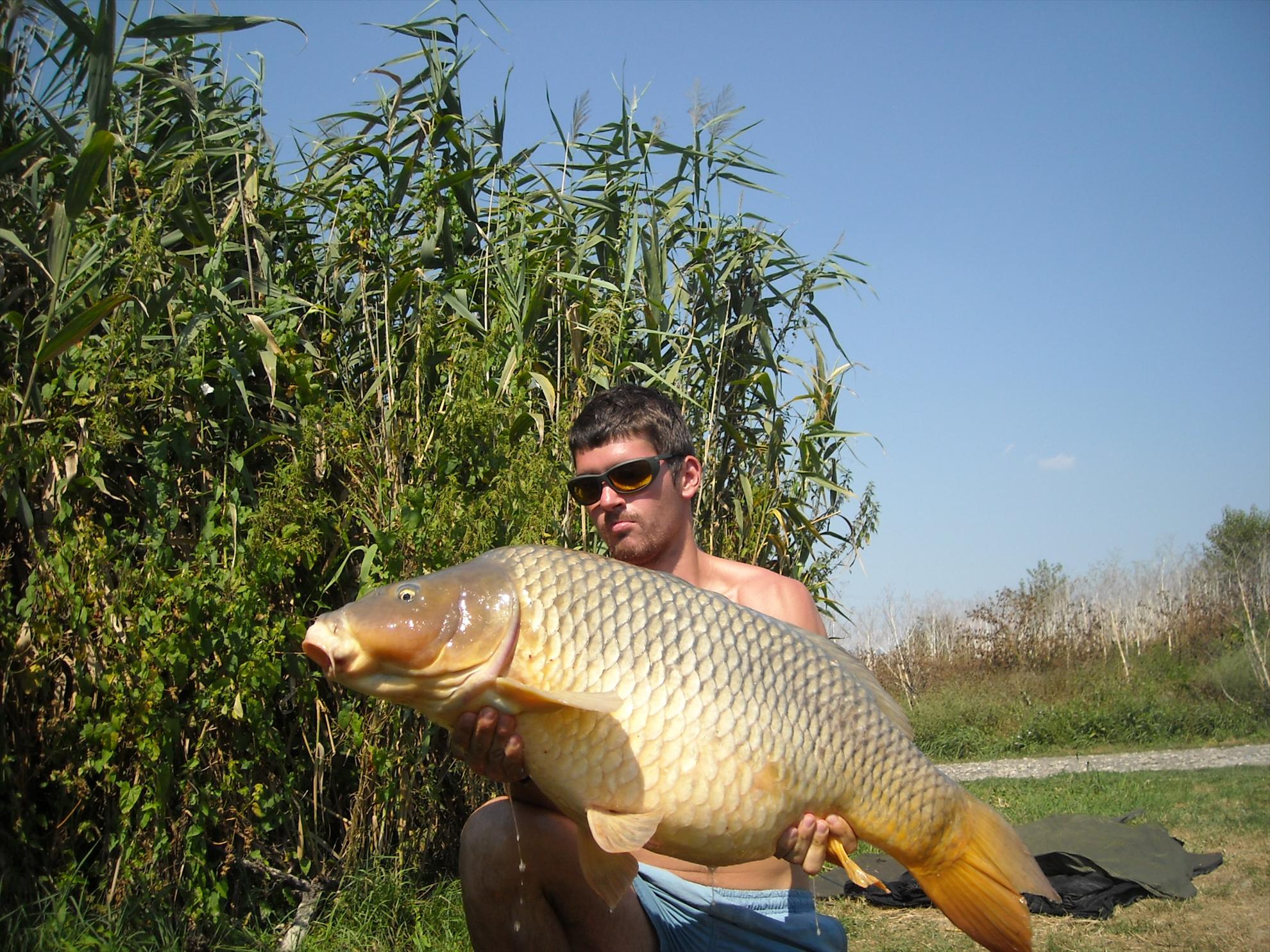 Cupa City Center-2010 - dscn8239.jpg